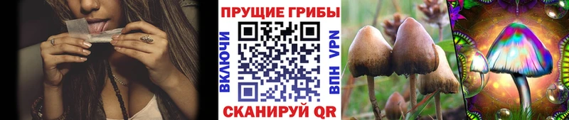 Псилоцибиновые грибы мицелий mega ССЫЛКА Лабытнанги дарнет шоп